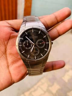 Skagen Denmark Watch