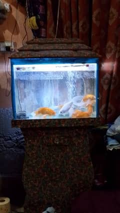 aquarium