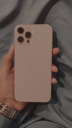 Iphone 12 pro max