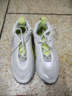 Lacoste sneakers