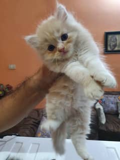 Cute