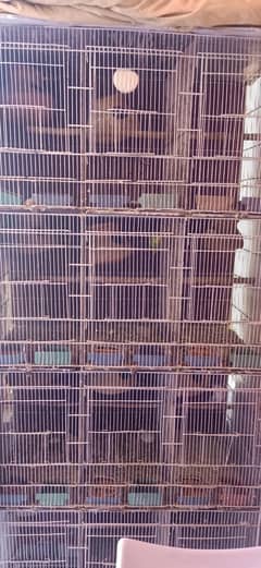 12 portion cage sell