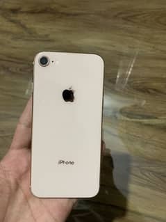 iPhone 8