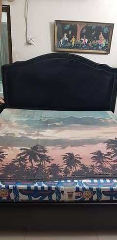 Elegance black velvet bed