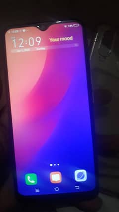 vivo
