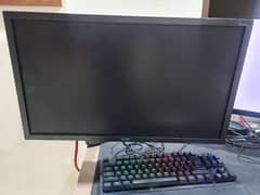 Acer