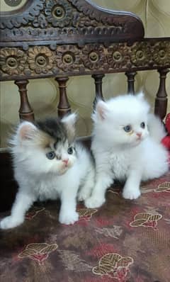 Persian