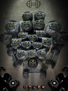 2kg to 20kg Dumbbells for Gym Workout