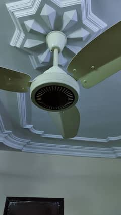 Fancy Ceiling Fan Excellent Condition