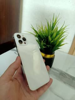 iPhone 12 Pro Max 10/10