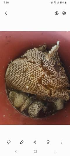 pure honey from sindh jungle.  کراچی جنگلی شہد اصلی اور خالص