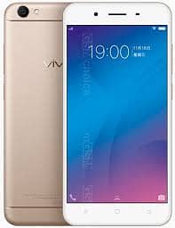 Vivo