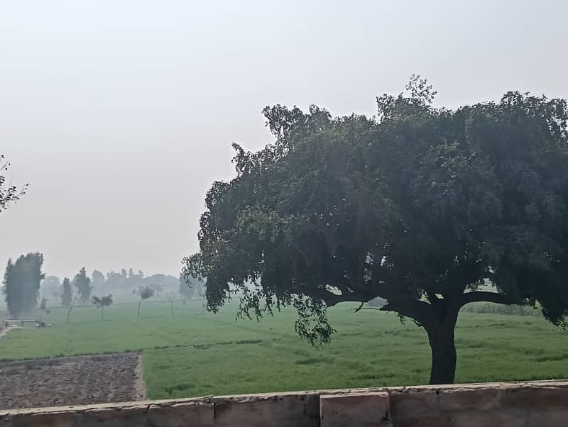 Ready To Buy A Agricultural Land In Multan Bypass Multan Bypass 0