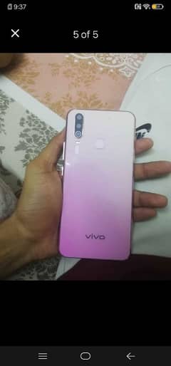 VIVO