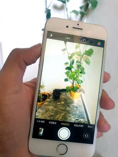 iphone 6
