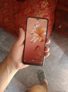 phone: