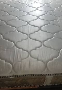 Dura spring