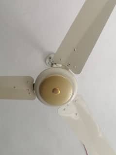 celling fan
