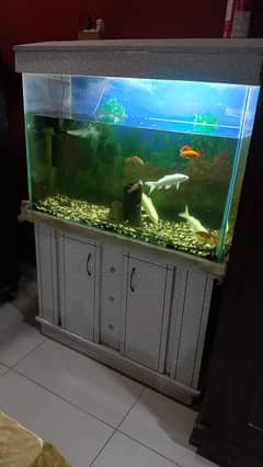 Fish Aquarium 3 feet FOR SALE
