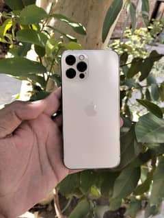 iPhone 12 Pro Factory Unlocked