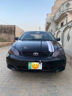 Corolla
