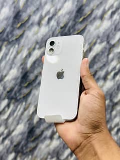 IPHONE 12 256GB PTA APPROVED PHY+ESIM 100% HEALTH ORIGINAL