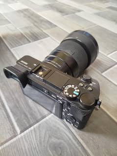 Sony a6500 with 30mm Sigma lens