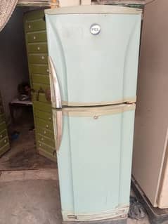 pel fridge for sale