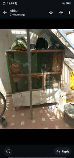budgies colony