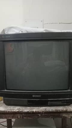 Television
