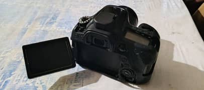 canon