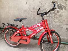 20 inc bicycle