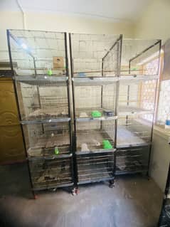cage