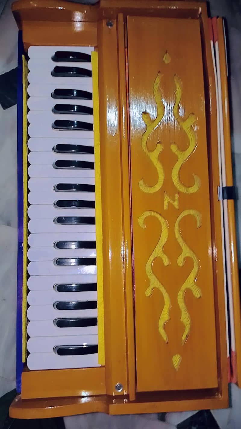 Indian harmonium 8