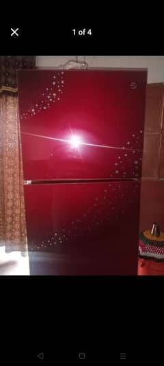 pel medium size