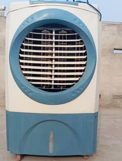Electric air cooler