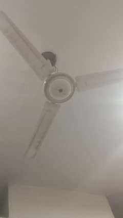 ceiling fan