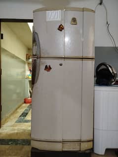 pel classic refrigerator