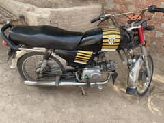 Rohi