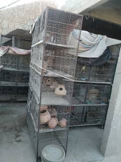 20 portion cage
