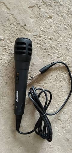 Mic