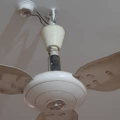 Millet Ceiling Fan