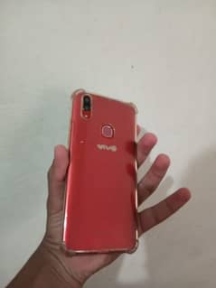 vivo
