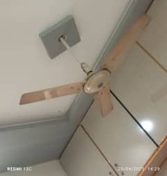 Used