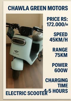 Electric Scooter