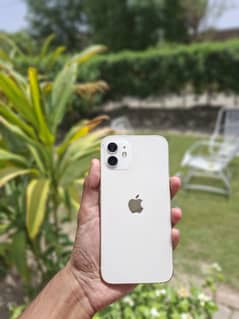 Iphone 12 JV