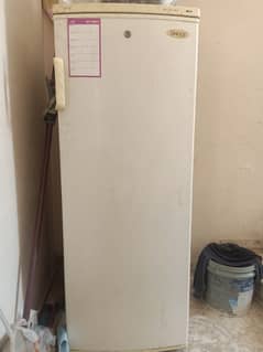 Vertical Deep Freezer
