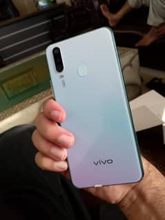 vivo