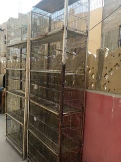 Cage