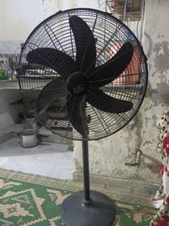Fans